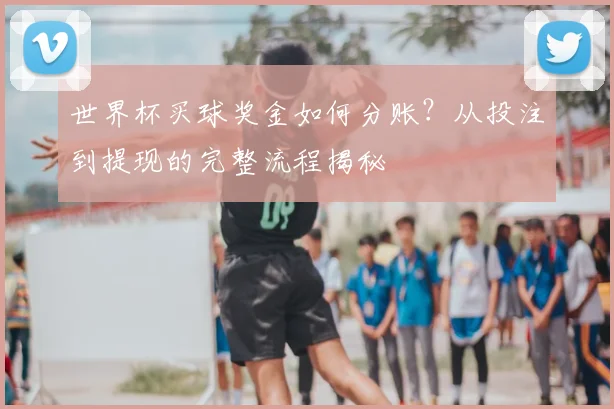 世界杯买球奖金如何分账？从投注到提现的完整流程揭秘