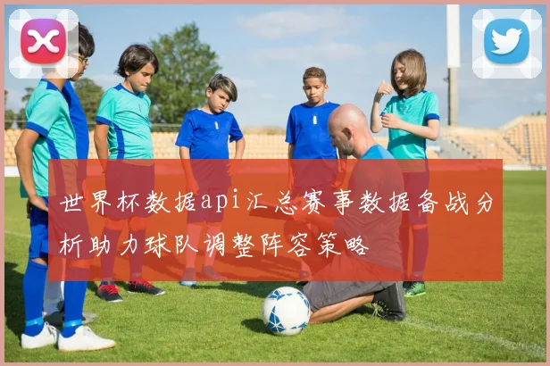 世界杯数据api汇总赛事数据备战分析助力球队调整阵容策略