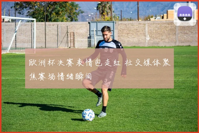 欧洲杯决赛表情包走红 社交媒体聚焦赛场情绪瞬间